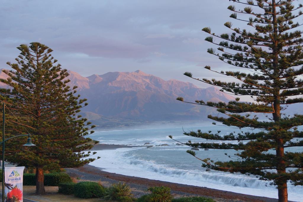 Waves Apartments Kaikoura Eksteriør billede