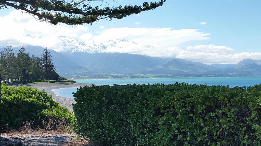 Waves Apartments Kaikoura Eksteriør billede